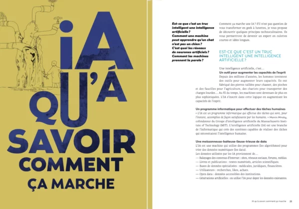 IA QU'À- Dico du futur de l'intelligence (et la bêtise) artificielle - Envoi du livre le 1er mars – Image 3